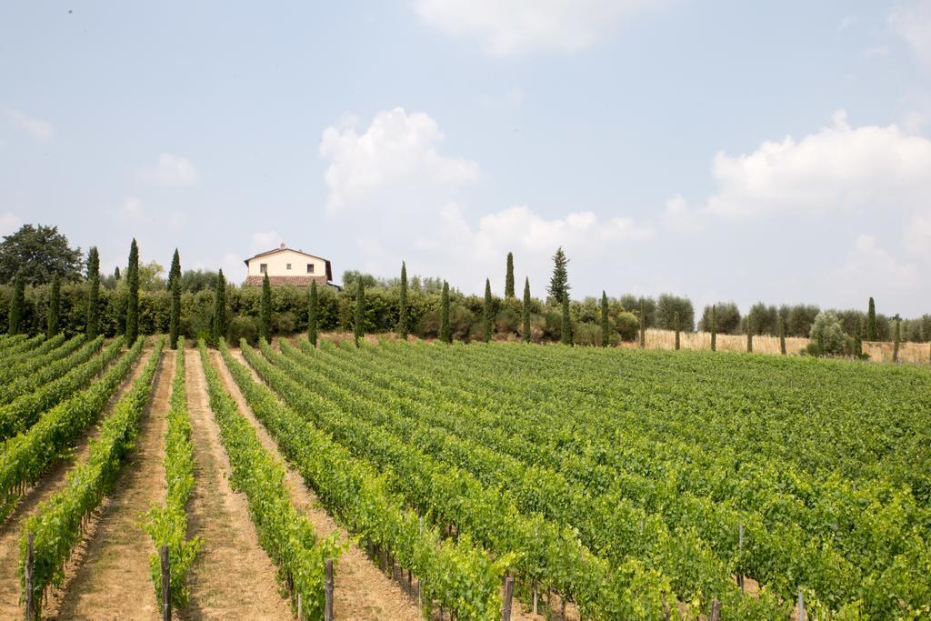 Le Buche Wine Resort&Spa Macciano Exteriör bild