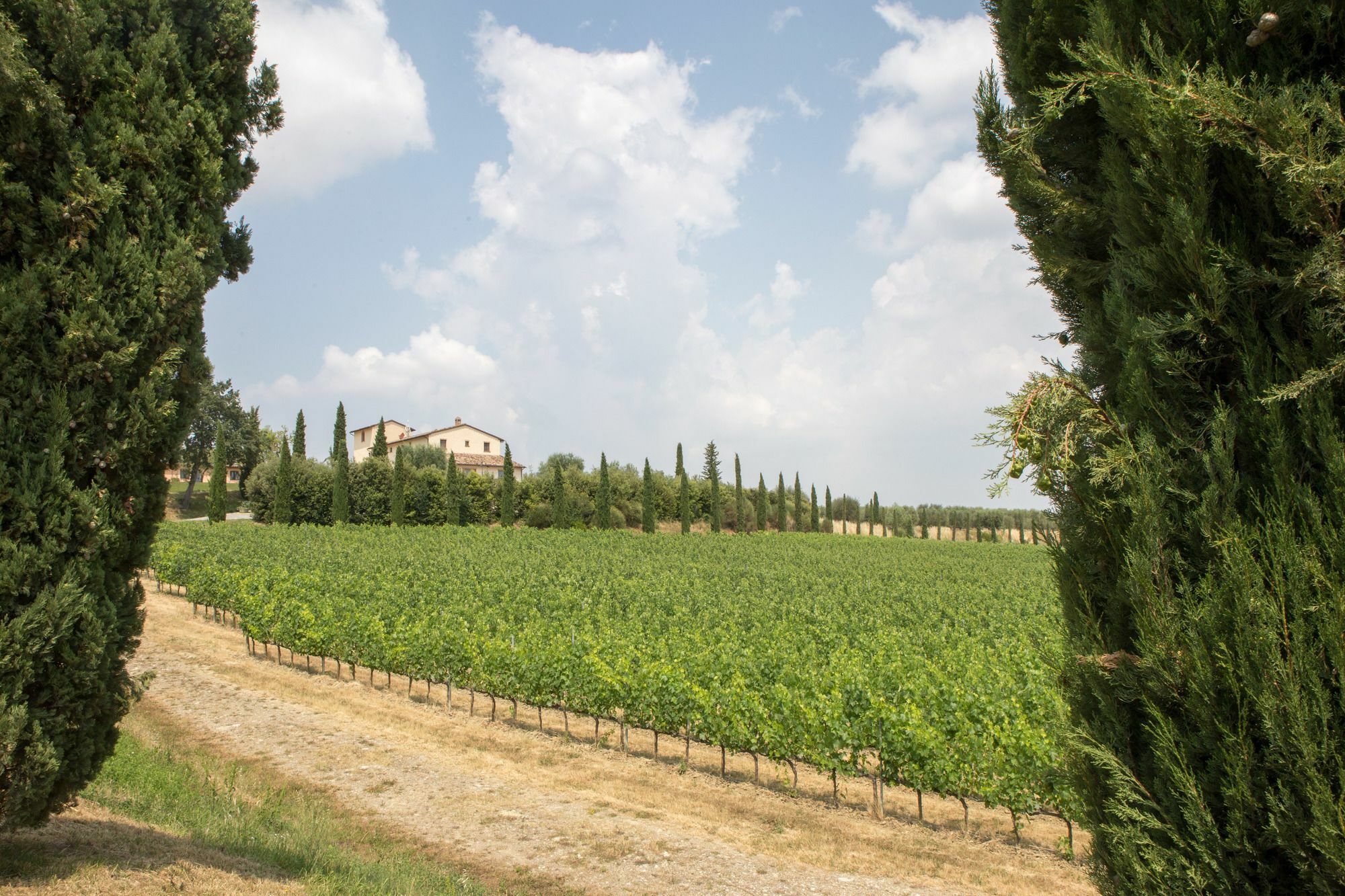 Le Buche Wine Resort&Spa Macciano Exteriör bild